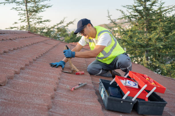 Roof Gutter Cleaning in Bonham, TX